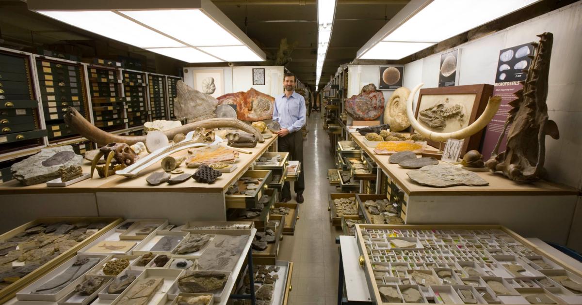 A summer of research at Smithsonian's Museum of Natural History – St. Olaf  College