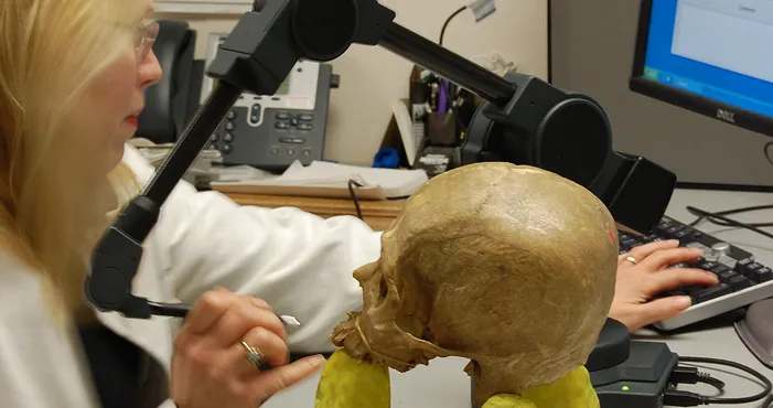 Scientist using tools to measure skull and enter data into a computer
