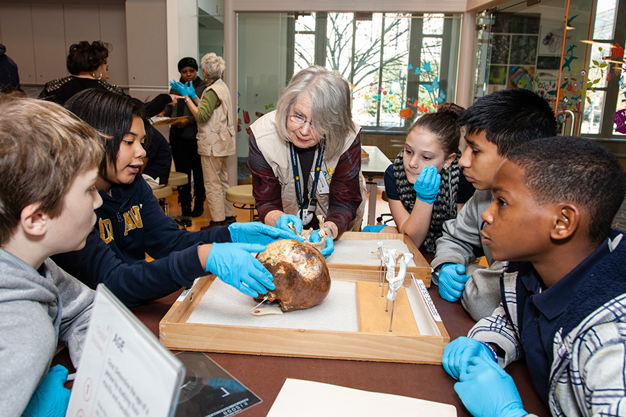 A female instructor holds a human skull over a table and students on both sides lean in to look at it.