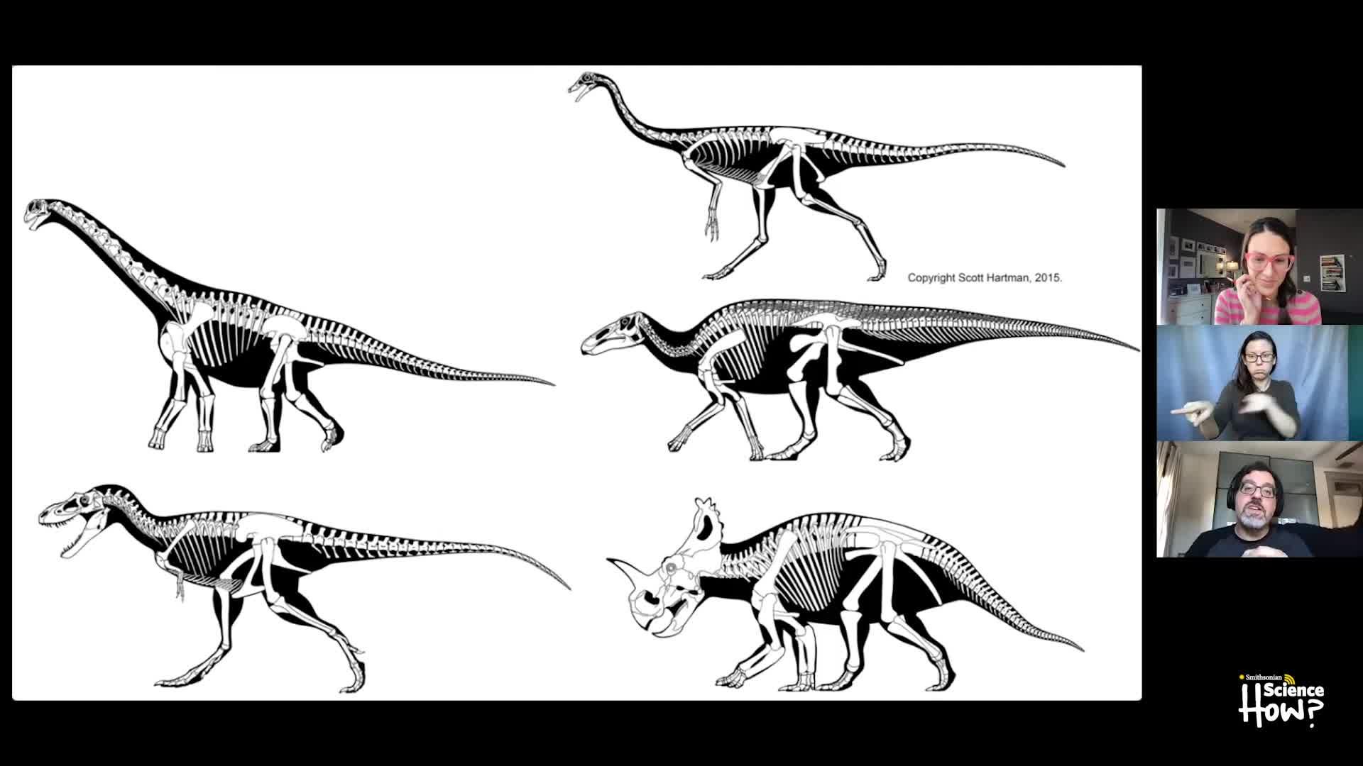 Webinar Explore How Dinosaurs Moved with Paleontologist Matthew