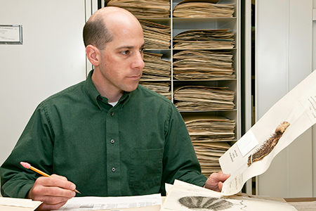 Gary Krupnick holding and looking at a piece of paper with a plant specimen attached to it.