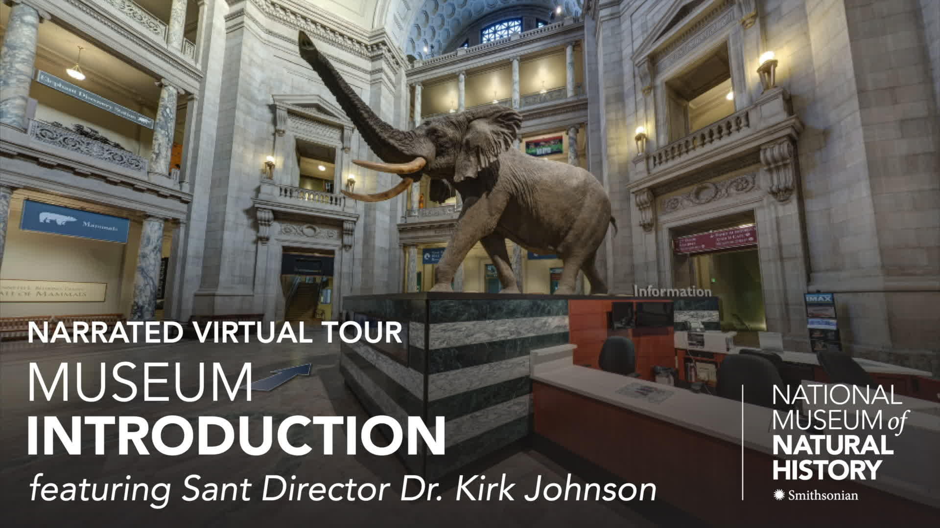 virtual tour national museum of natural history