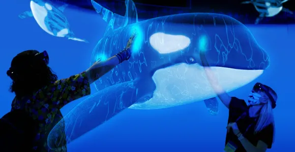 a digital projection of an orca what with a person reaching out to touch it. mostly blue tones 
