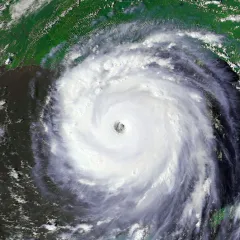Fishy Business in the Eye of the Hurricane