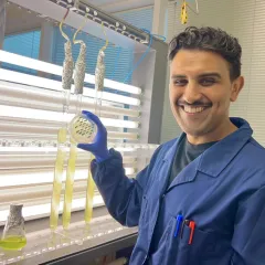 Microalgae Biotechnology: Tiny Powerhouses Shaping Our Future