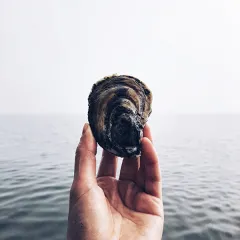 Oyster EMTs: Environmental Monitoring Technicians of the Sea