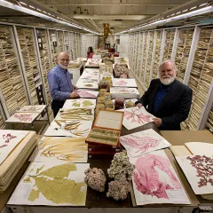 Two men holding specimen sample sheets in the center of plant collection storage aisle. More are on the shelves behind them.