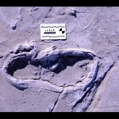 Deep human footprint in the ground