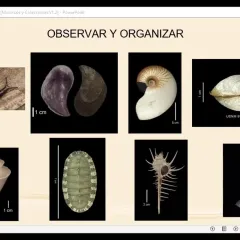 Educators Odalys Lugo Morales and Juan Pablo Hurtado Padilla talk about a composite image of mollusks