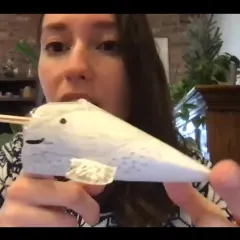 Ocean educator Meaghan Cuddy holds up a paper model of a narwhal.