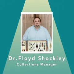 Dr. Floyd Shockley, collections manager