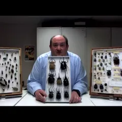 Floyd Shockley holding a collection case of beetles