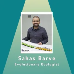 Sahas Barve, evolutionary ecologist