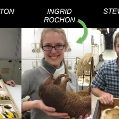 Photo montage of scientists Peri Bolton, Ingrid Rochon, and Stewart Edie holding different specimens