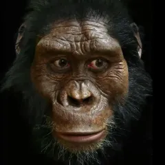 Reconstruction of an ancient human face with medium skin tone, black hair all around it, ears high up on the head, a receding brow, wide cheekbones, and a flat nose