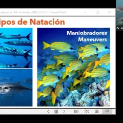 Screenshot of presentation slide showing pictures of fish alongside an image of Dr. Adela Roa Varon