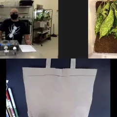 Screenshot of three live program video shots including a view of the Insect Zoo, insects in soil, and a sheet of paper and markers