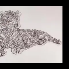 Video screengrab showing two images: a drawing of a jaguar done in black string, and the artist Bethany Taylor.