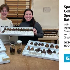 Text reads Spooky Collections and Spectacular Bat Adaptations, next to a photo of two women holding a tray of bat specimens