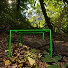 A green plastic frame in the shape of a cube sitting in the woods on top of some leaves and a log.