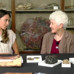 Maggy Benson and Dr. Kay Behrensmeyer are seated at a table with several large bones and various rocks on the table and in a display case behind them.