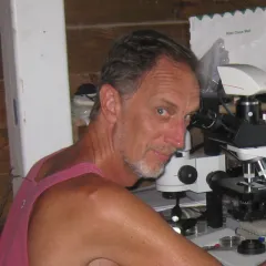 Jon Norenburg: Research Zoologist and Curator of Nemertea, Echinodermata, meiofaunal and other phyla