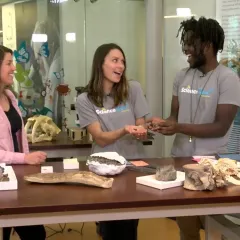 history of science worksheet Laura Soul, Maggy Benson and Emmanuel Kyei-Baffour at a table with several bone specimens.