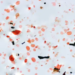 Dozens of grains of fossil pollen, of many different shapes, on a slide, magnified.