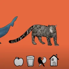Color illustrations of a humpback whale, a clouded leopard, and a barred owl. Below the animals are small black and white drawings of an apple, a glass, lovebirds, and a house.