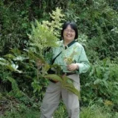 Jun Wen: Research Botanist and Curator of Botany (Vitaceae and Asian Plants)