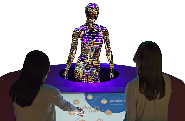 two people looking at touch screen with a digital human figure in middle 