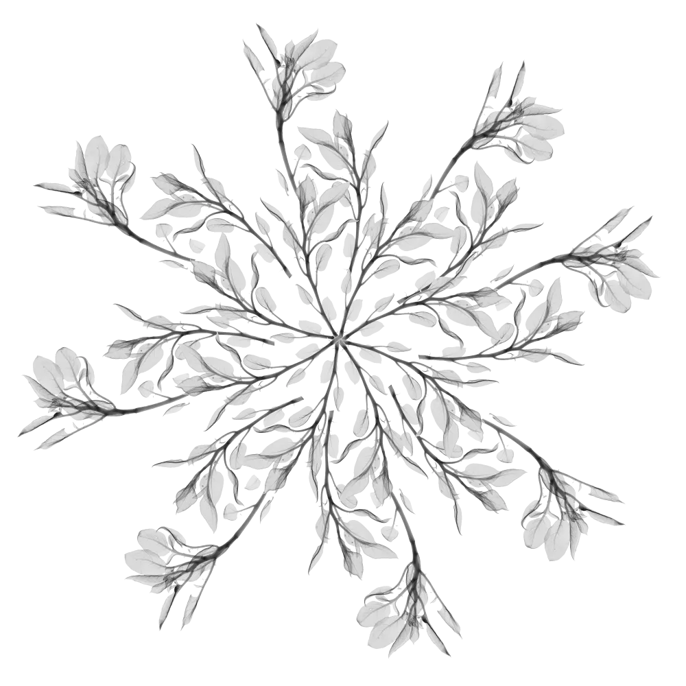 a gray large snowflake 