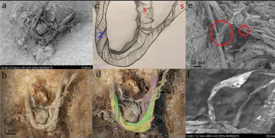 A Twist on Ancient Technology: Fiber, String, and More