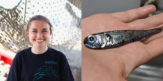 Diving Deep into the Ocean’s Twilight Zone