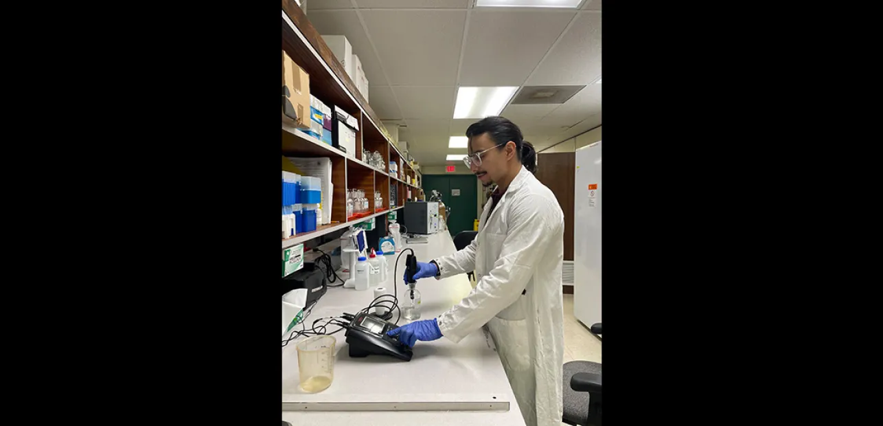 Sargassum from Essential Habitat to Environmental Hazard