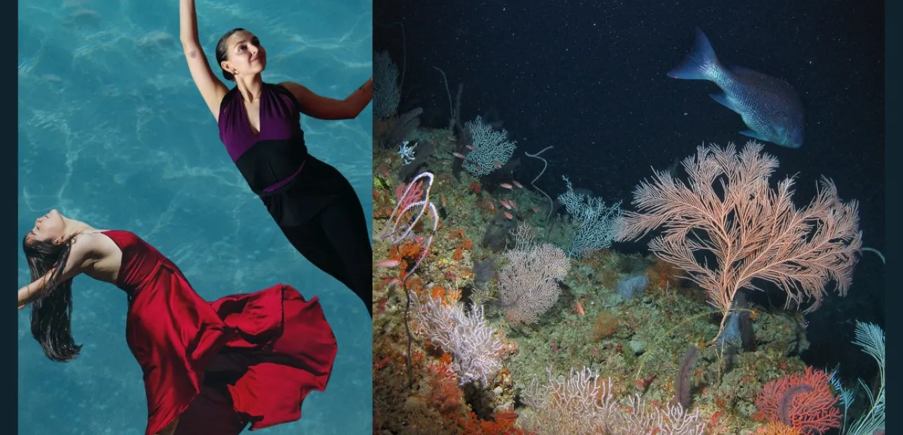 The World & Me: Deep Sea Dancing