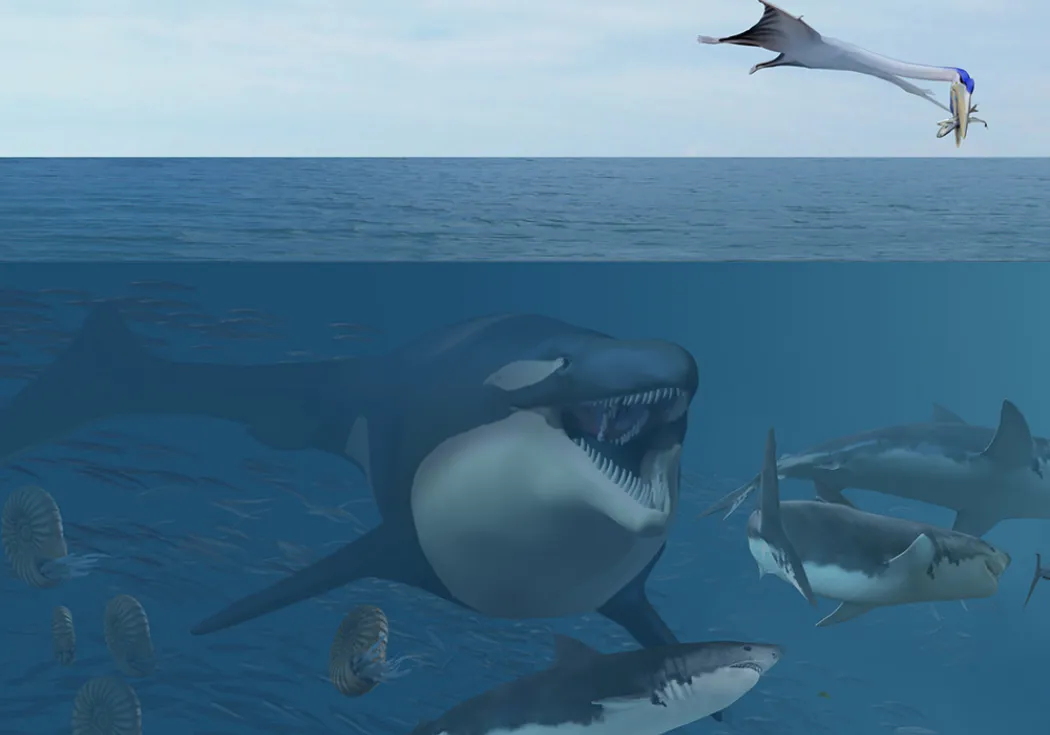A mosasaur swims with sharks