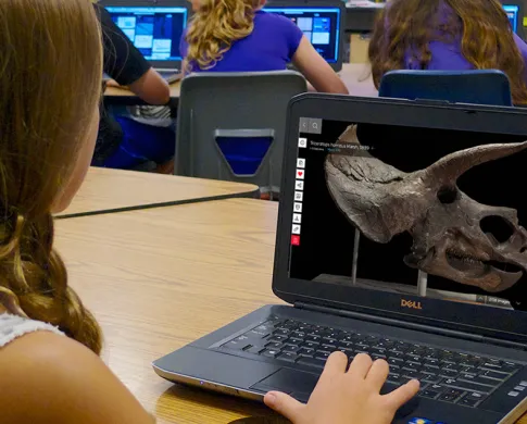 A person sitting at a table with one hand on a laptop keyboard. The laptop screen is displaying a dinosaur skull.