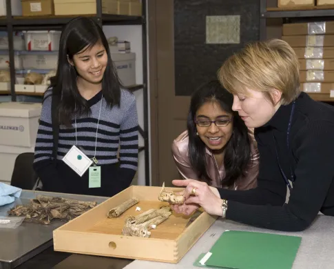 Smithsonian forensic anthropologist points out area of interest in a piece of bone to students.