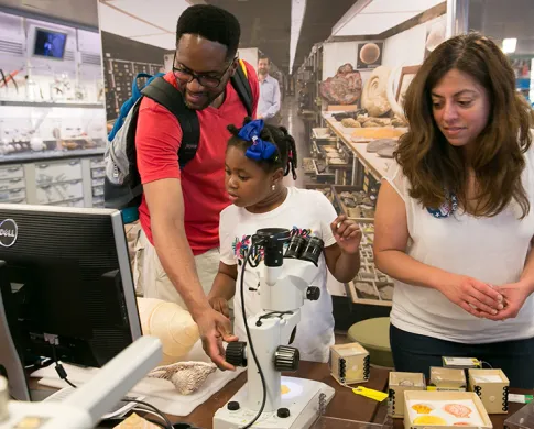 A girl uses a microscope to look at a collection object in the Q?rius education center. A man helps her with the microscope.