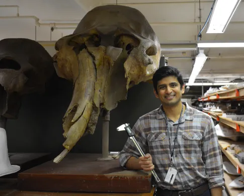 Advait Jukar holds a tool while standing in front of a fossil elephant skull near shelves in a collection storage area.