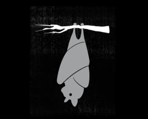a black background with gray illustrated bat