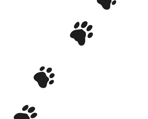 4 black paw prints