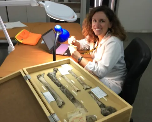 Briana Pobiner studying early human fossils at the National Museums of Kenya