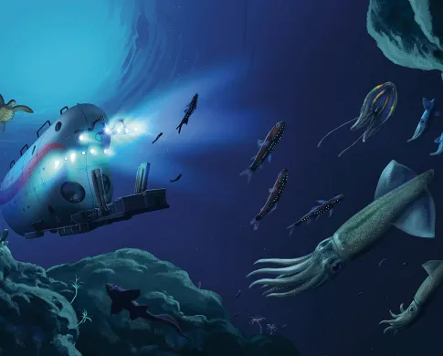 Illustration of a small research submarine under the surface of the ocean, with its lights on illuminating fish, squid, and jellyfish swimming in front of it as it descends