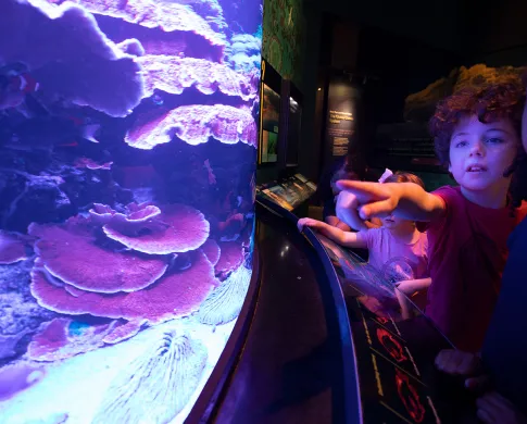 Two children in a dark exhibit hall looking at the coral reef fish tank which is right in front of them.