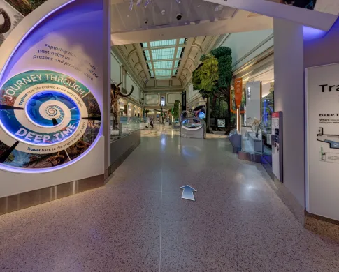 walkway at beginning of Deep Time hall with a colorful spiral to the left and a way finding map to right