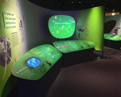 green reader panels in exhibit gallery with green light on wall and screen 