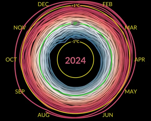 black background with colorful circles that outline the months of the year