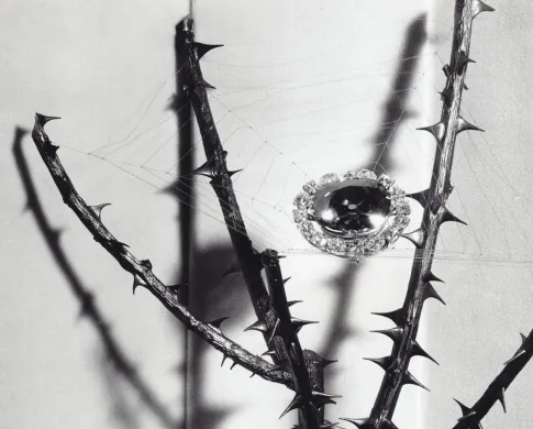 The Hope Diamond mounted in a spiderweb in a rose bush 